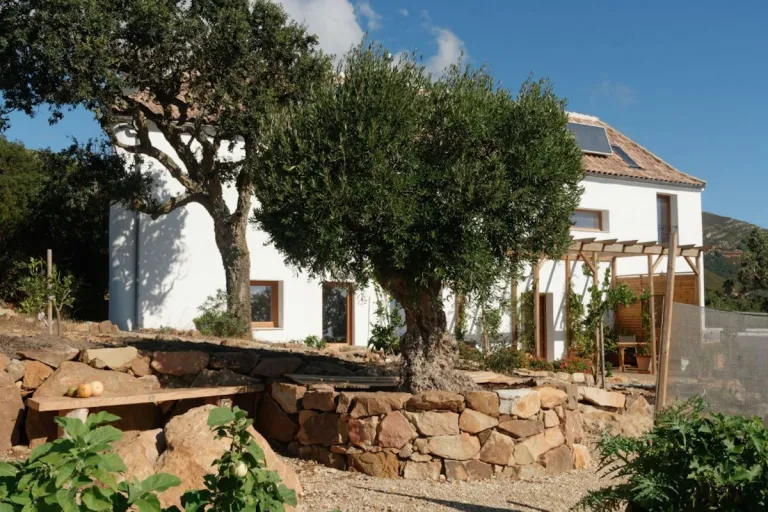 Casa neo-vernácula encalada entre olivos y muros de piedra seca en Tarifa (Cádiz)