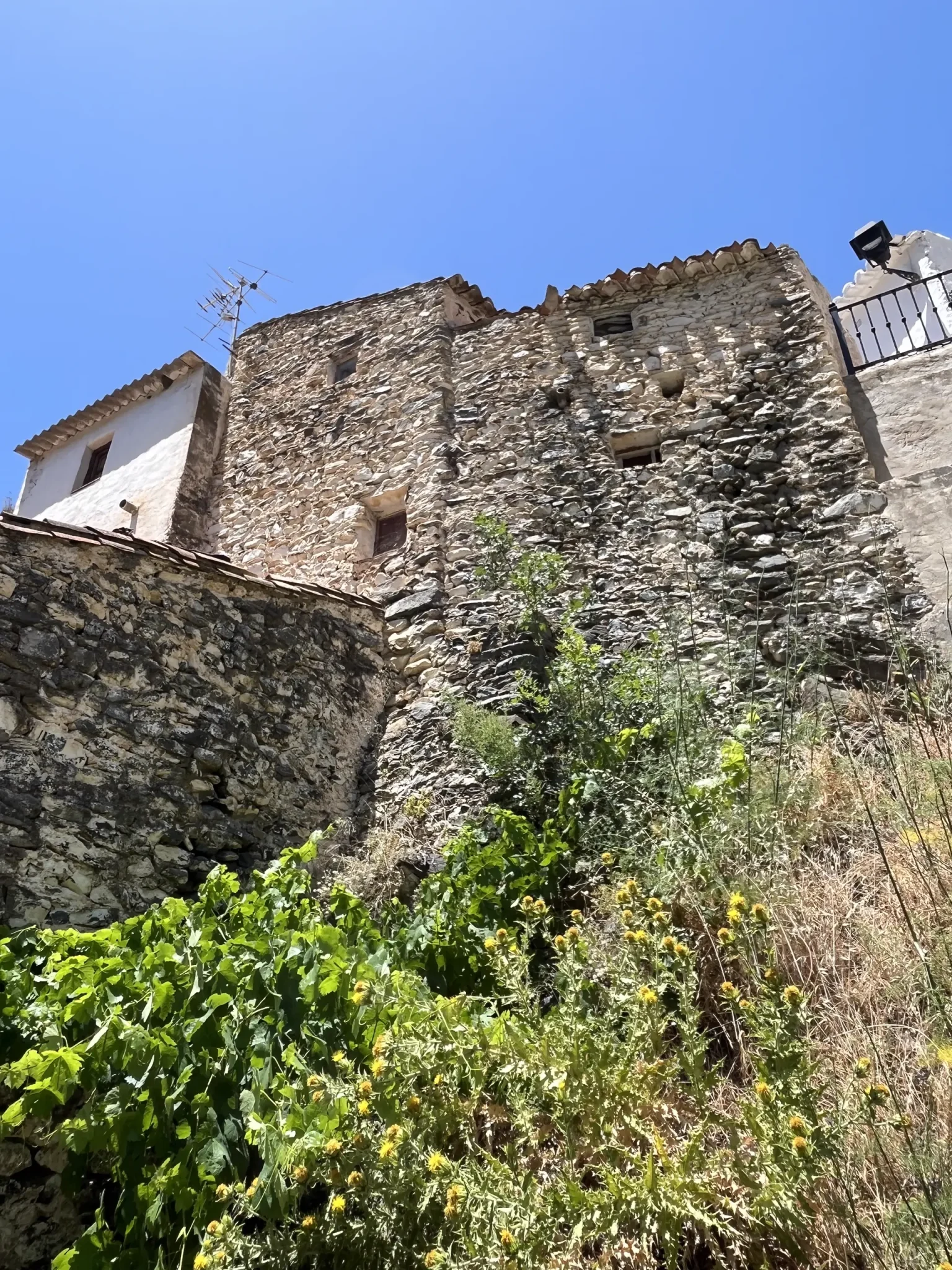 Vista desde abajo de los muros de piedra de una casa antigua, con vegetación silvestre y flores amarillas en primer plano